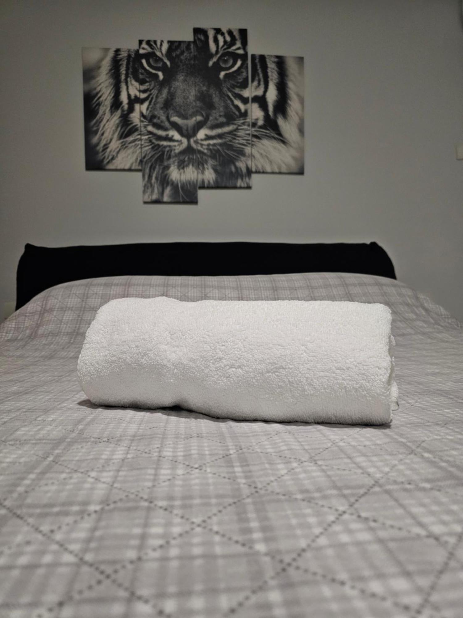 Apartamento Claudio's Airport *